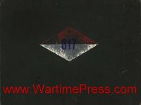 817th Engineer Aviation Battalion (PDF)