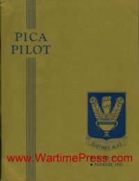 Pica Pilot Class 43-3 (PDF)